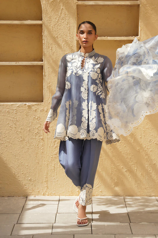Powder Blue Grace – Embroidered Kurta Pant Set